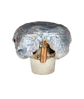 Munición metálica FEDERAL Trophy Bonded Tip - 7mm-08 - 140 grains