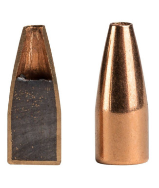 Munición metálica FEDERAL Speer TNT - 17 HMR - 17 grains