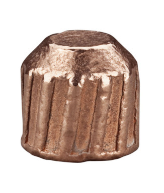 Balas para escopeta 12/70 FEDERAL TruBall Deep Penetrator - 438 grains
