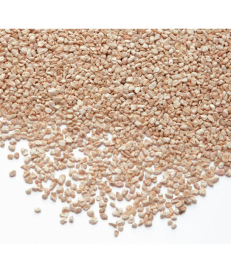 Kit de accesorios para limpiar vainas SmartReloader - essential