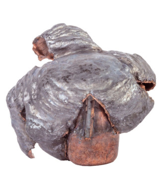 Puntas de bala SPEER Impact - .308" - 172 grains