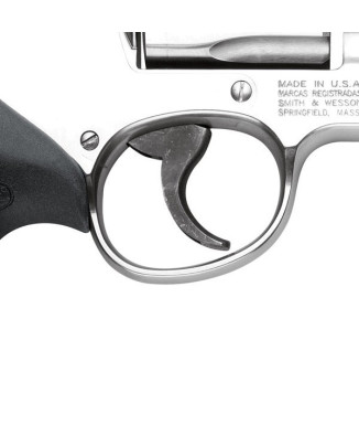 Revólver Smith & Wesson 629 5" - 44 Rem. Mag.