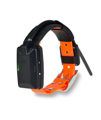Localizador Dogtrace GPS X30