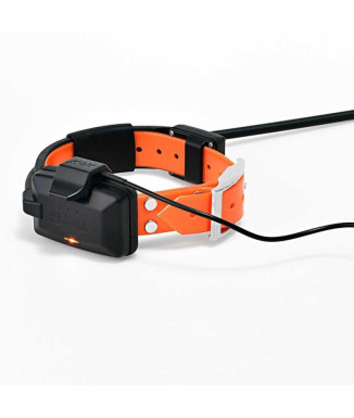 Localizador Dogtrace GPS X30