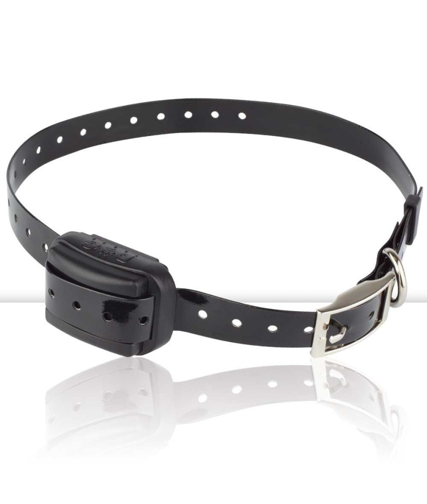 Anti-Ladridos Dogtrace D-Mute Plus