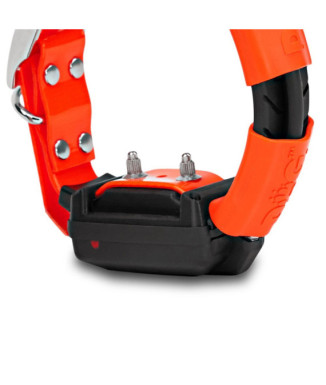 Localizador Dogtrace GPS X30-T