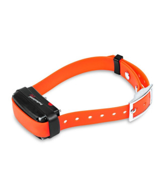 Collar Adicional Professional One