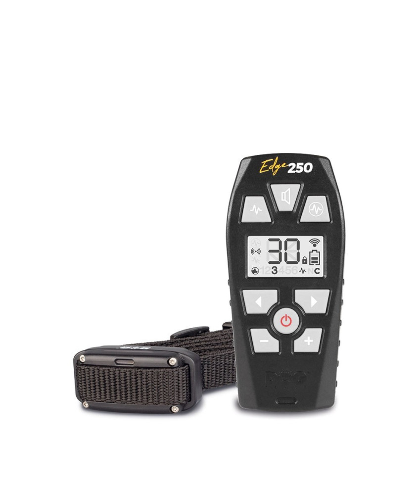 Dogtrace EDGE ONE 250