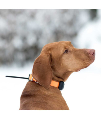 Localizador DOG GPS X30-B
