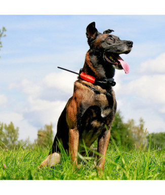 Localizador DOG GPS X30-B