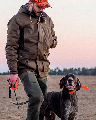 Artículos para perro